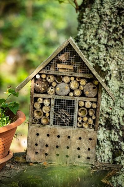 Hôtel à insectes